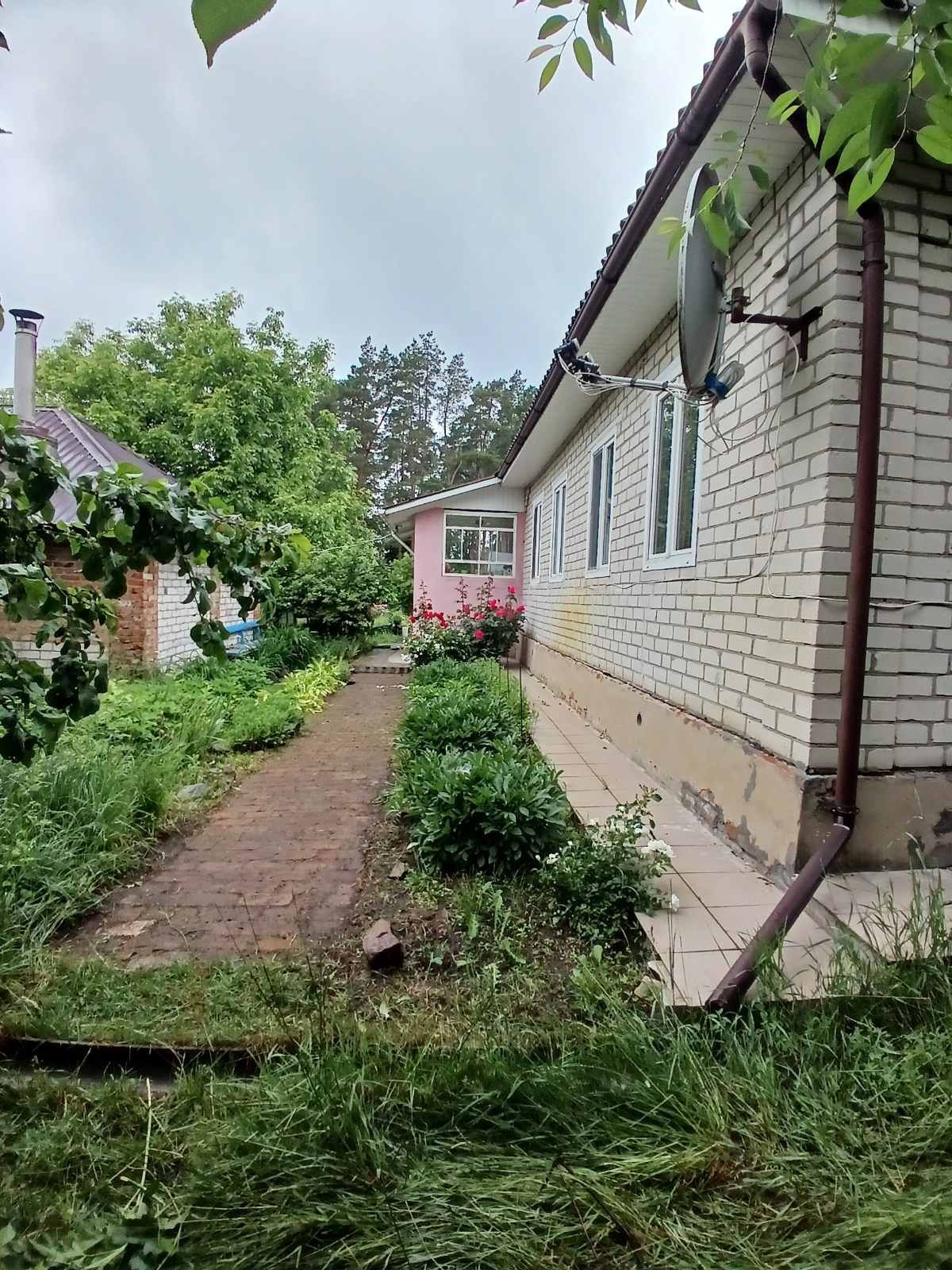 Помешкання на березі Десни та на УЗЛІССІ.