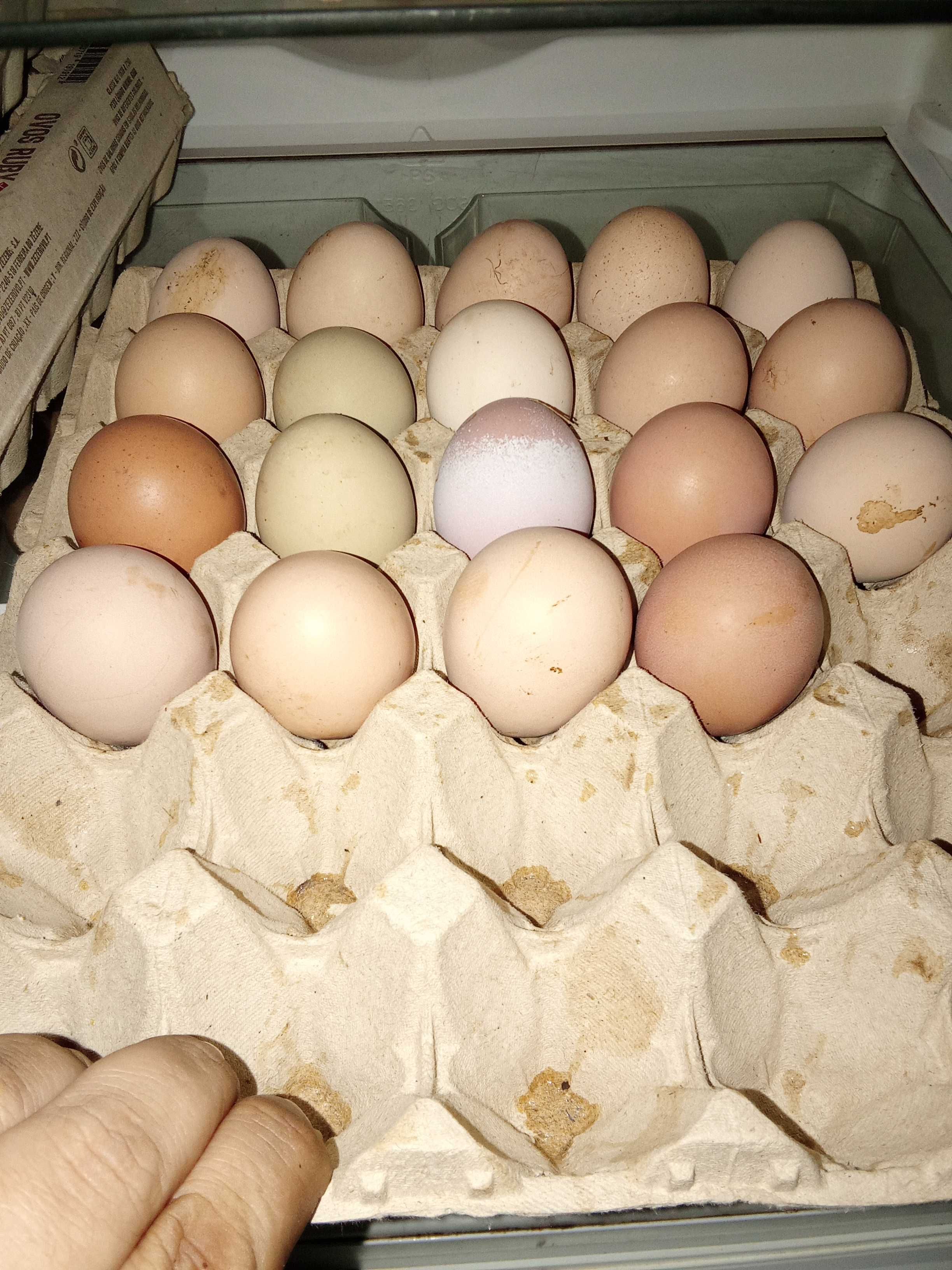 Ovos Caseiros  (só hoje preço ótimo)