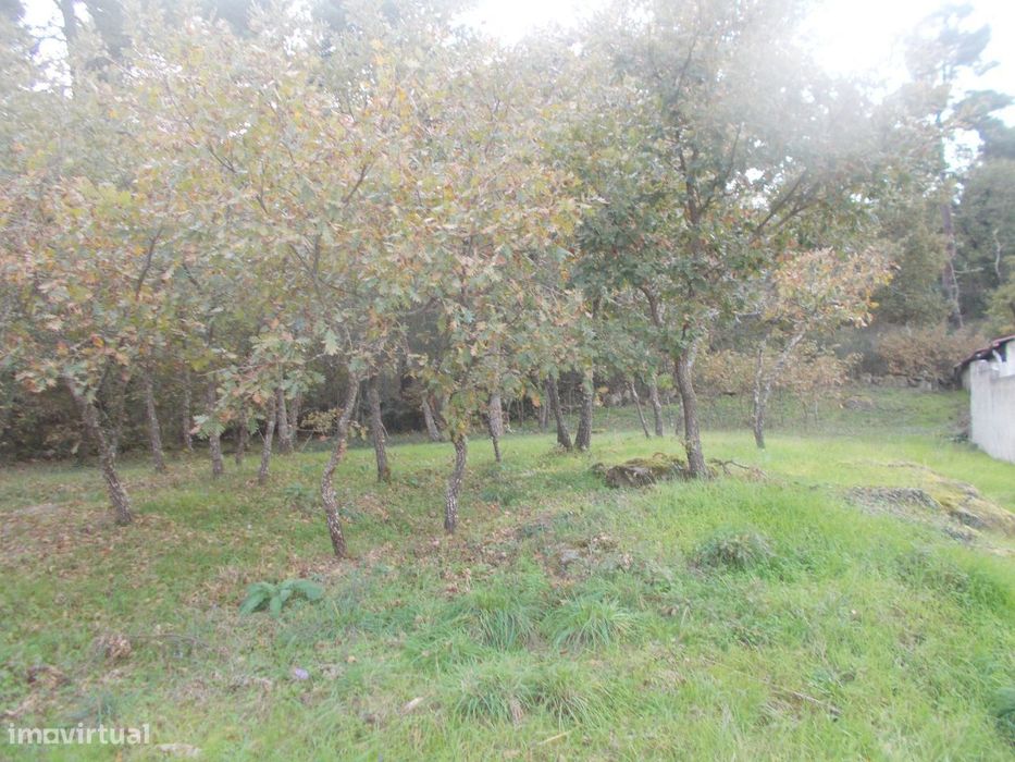 Terreno 1473 m2 Bustelo