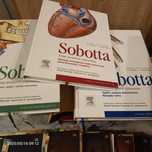 Atlas anatomii wraz z płytką SOBOTTA