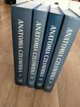 Anatomia człowieka Bochenek Reicher tom 2,3,4,5