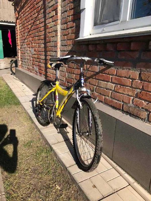 Велосипед Winner Amigo - 24