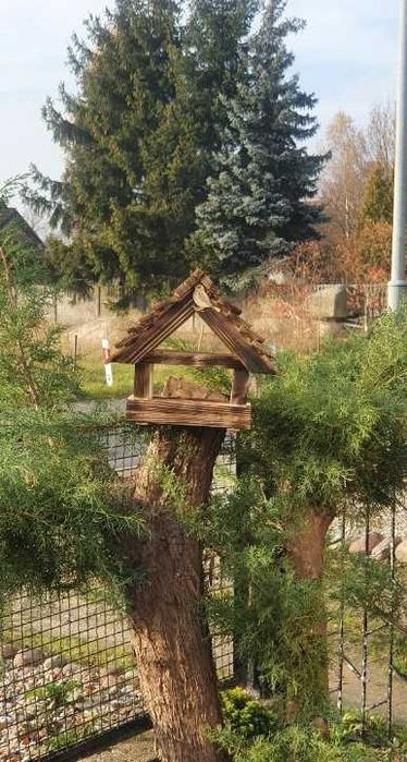 Karmnik dla ptaków budka dekoracja ogród taras dom