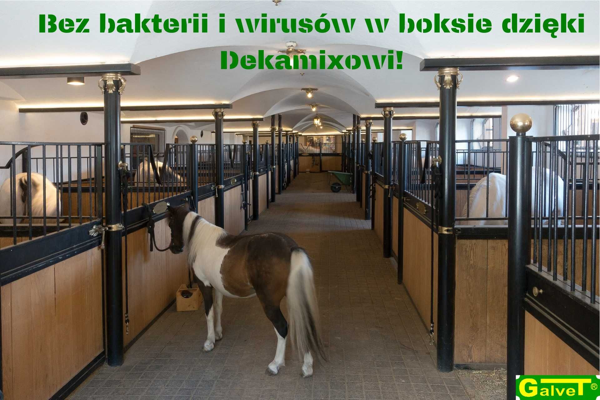 Dekamix 1 TONA BB  dezynfekcja  suszenie Formalina DPPL