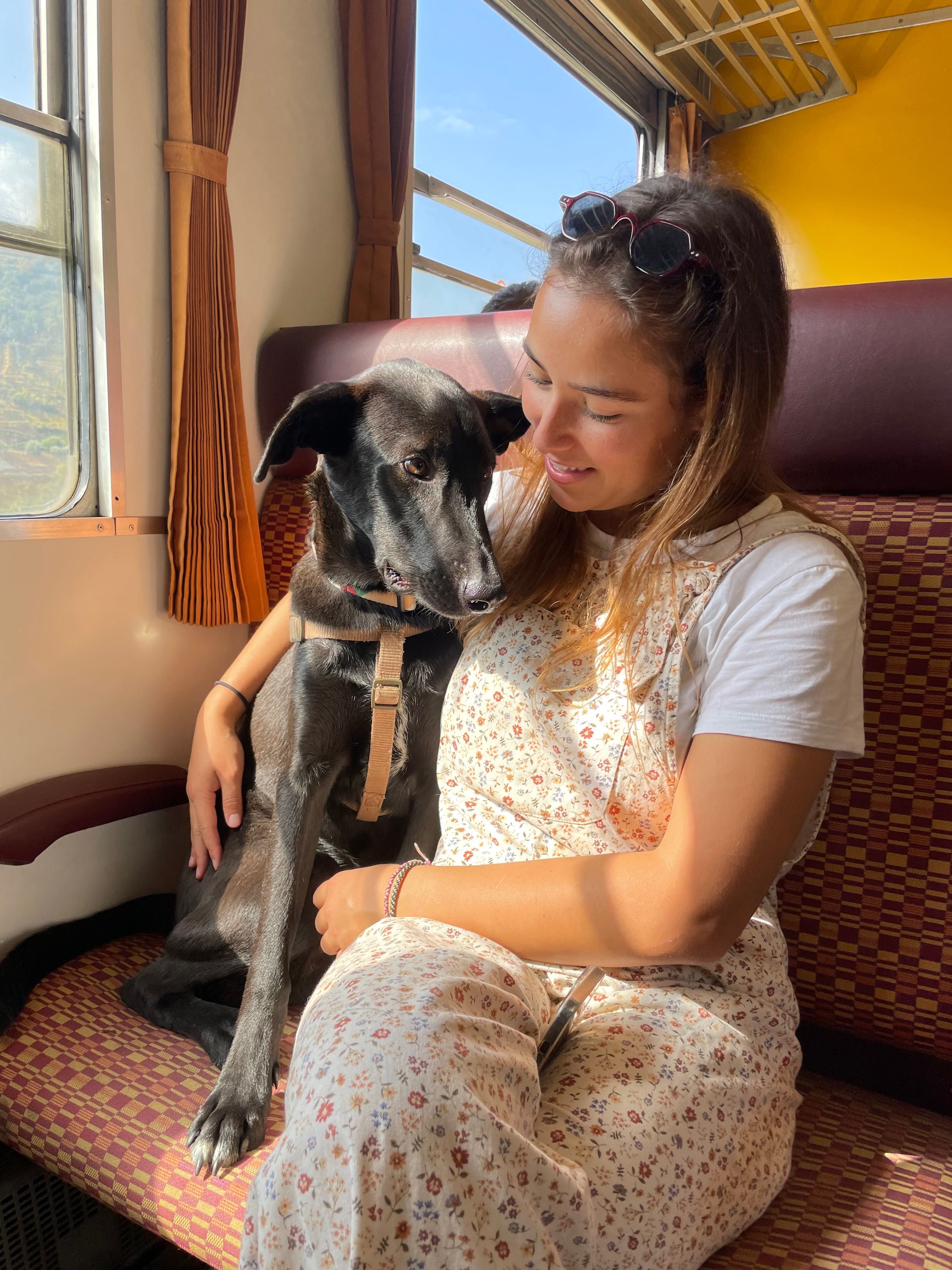 Petsitter | Passeios e estadias familiares
