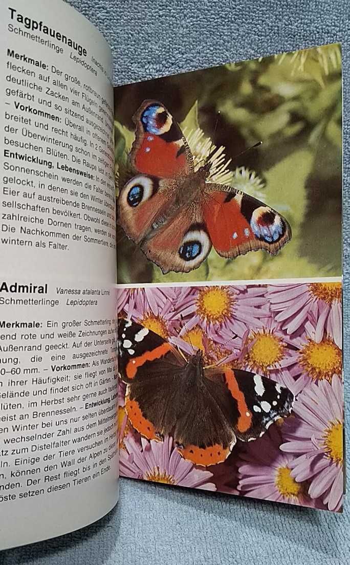 Owady przewodnik przyrodniczy po niemiecku
