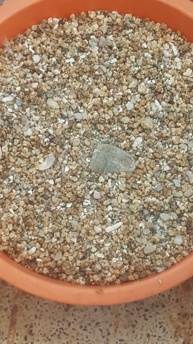 vendo ou troco areia de aquário