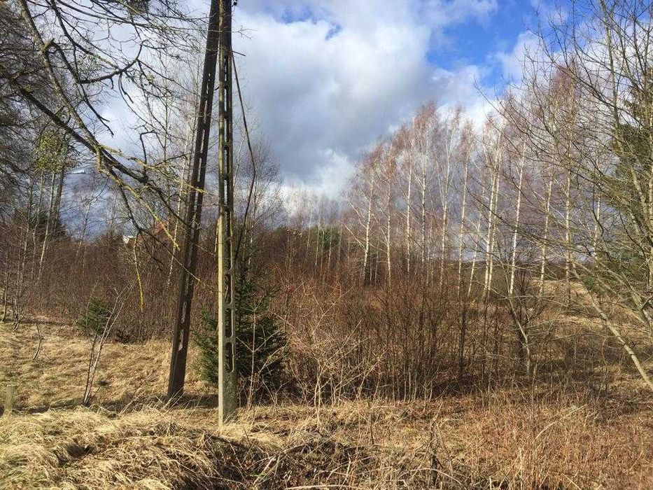 Sprzedam działkę w m.Trygort koło Węgorzewa