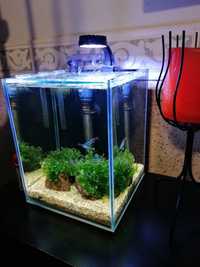 Nano aquário cubo