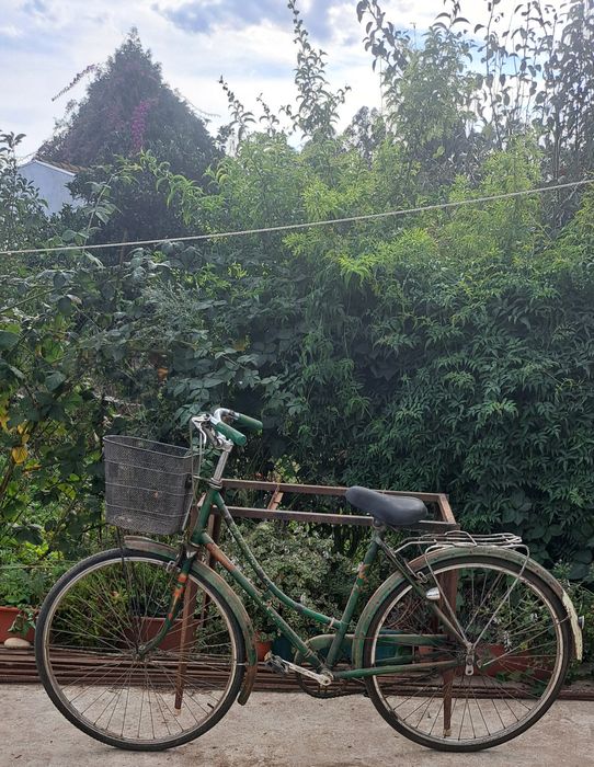 Bicicletas de colecção Homem e Senhora
