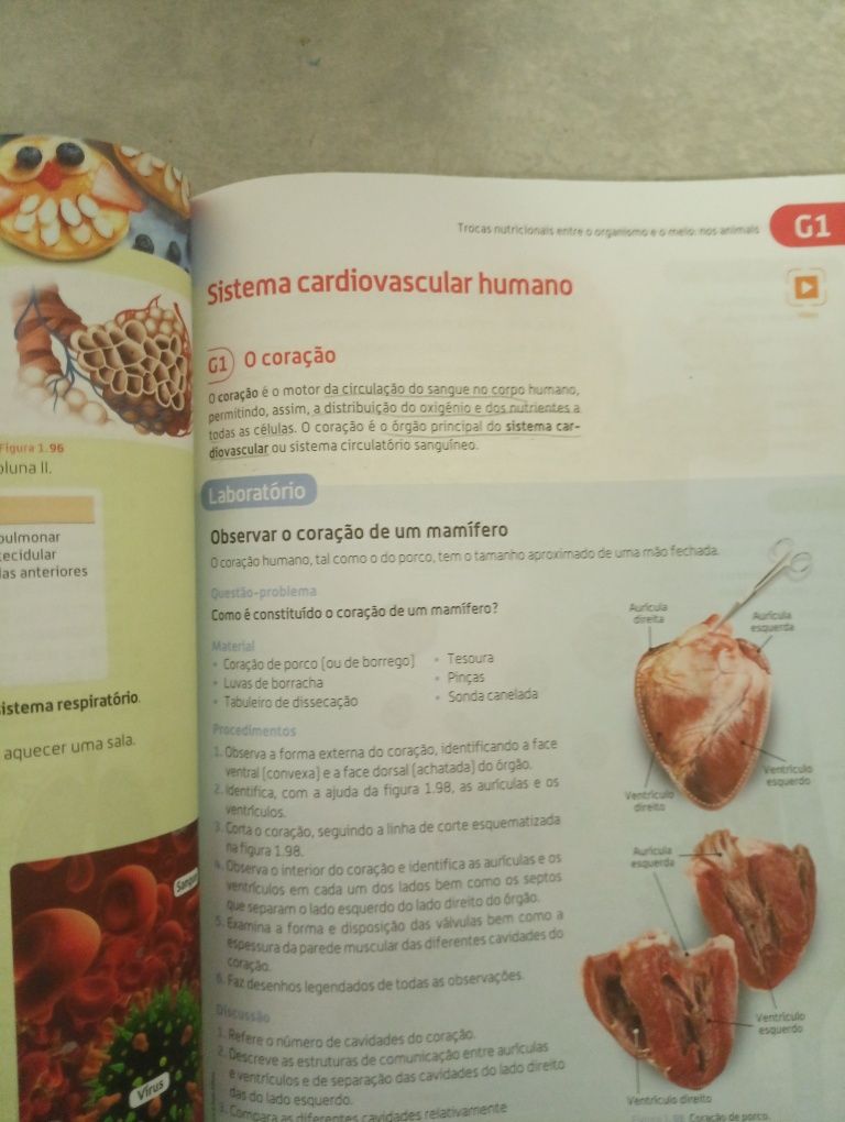 Manual de Ciências 6º ano Cientic 6