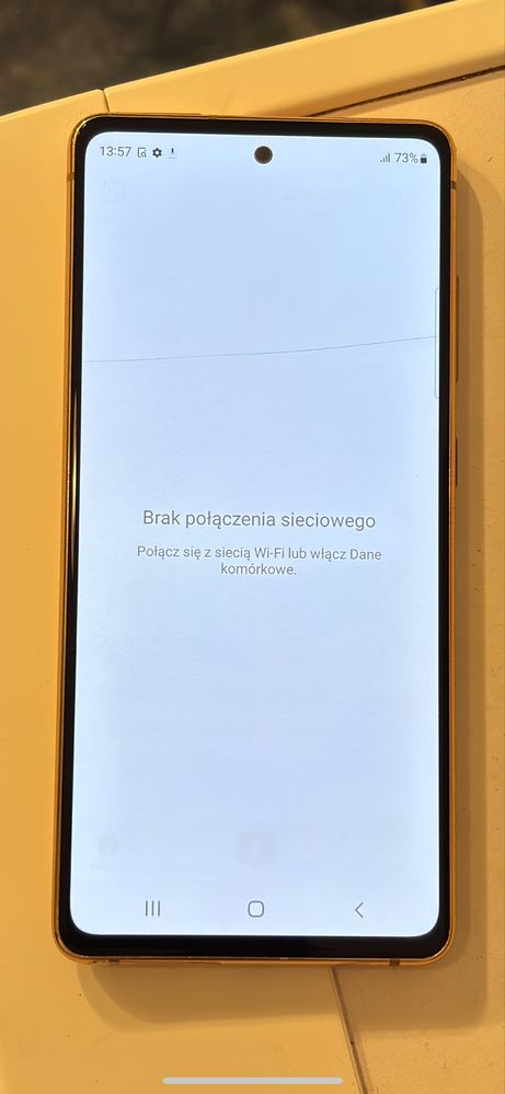 Samsung Galaxy S20 FE (Fan Edition)
