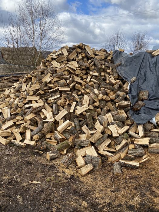 Drewno opałowe sosna/świerk