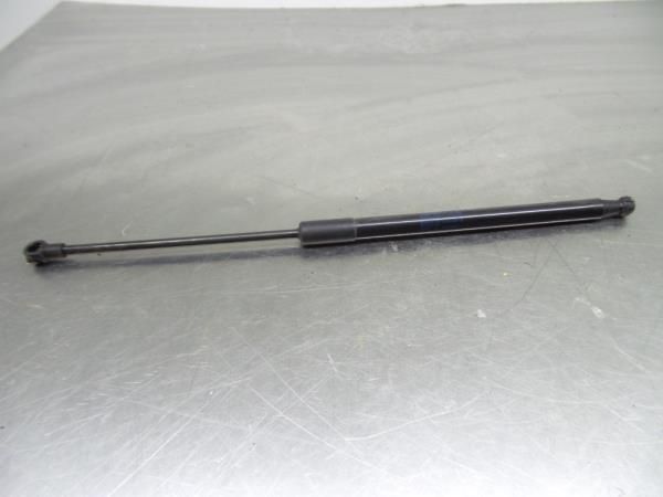 Amortecedor da mala SMART ForFour (453)