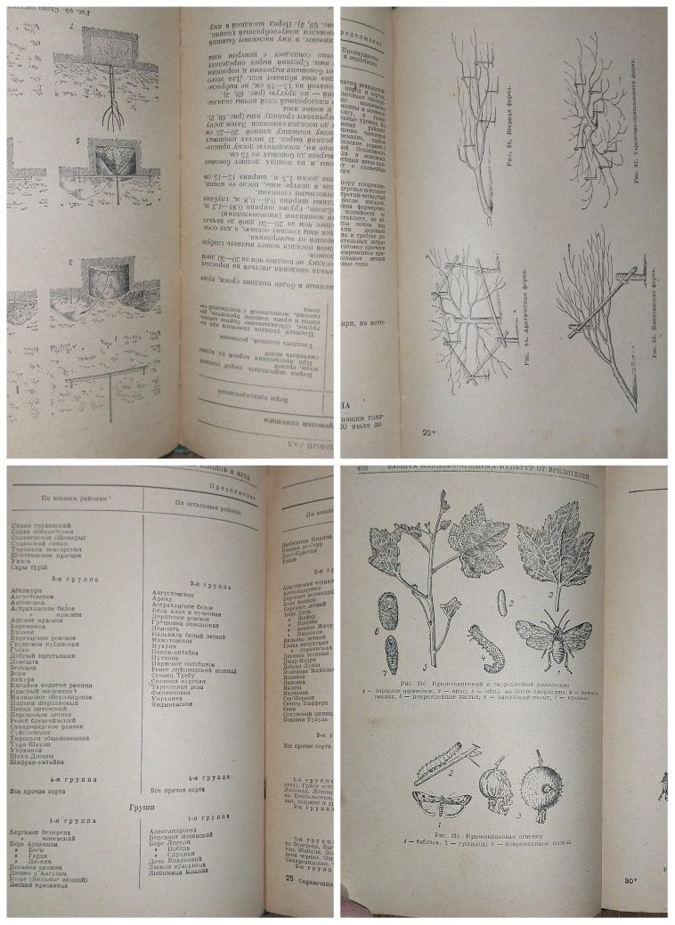 Справочник садовода 1956 год