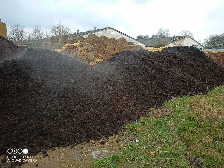 Poferment Biogazowni Nawóz organiczny z masy kukurydzianej