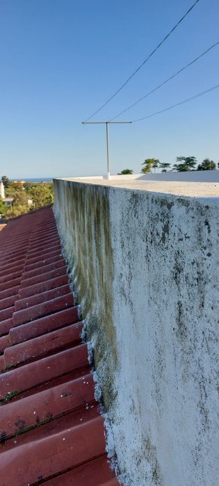 Limpeza alta pressão e jardinagem