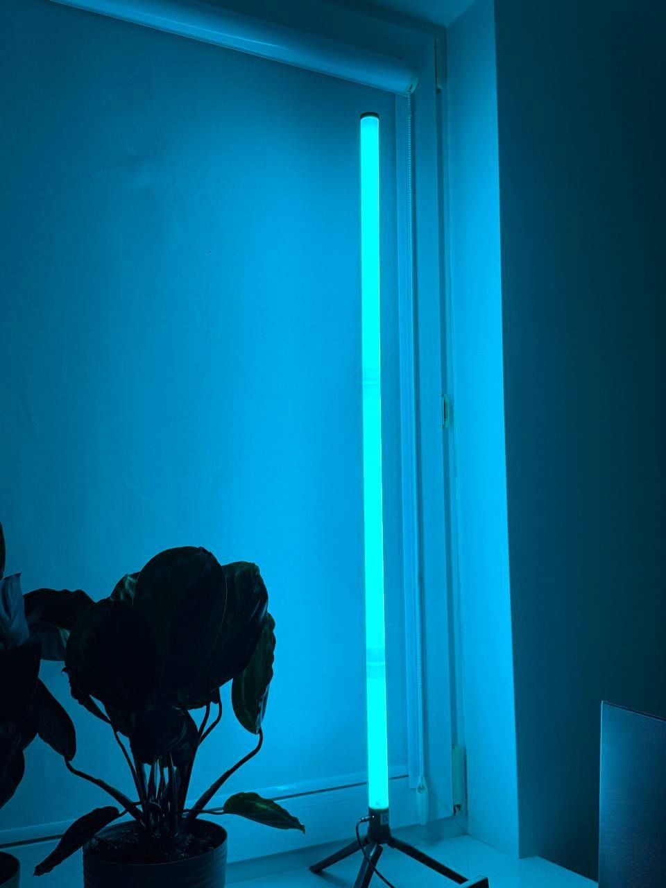 Lampa,  oświetlenie podłogowe LED