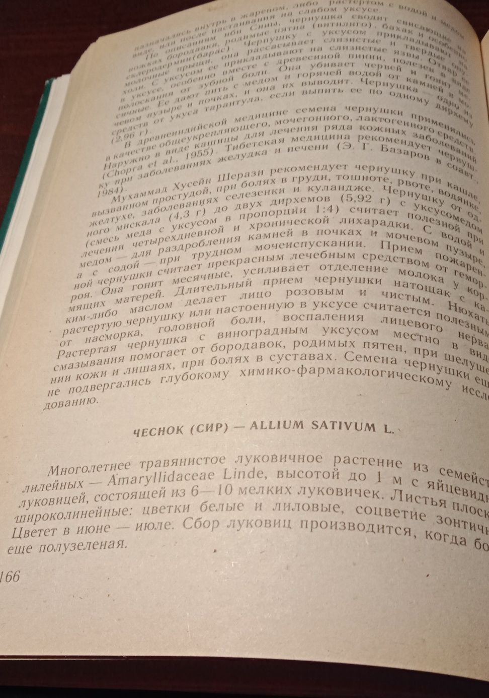 Лекарственные растения (автор – Ю. Нуралиев)