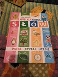 Moja pierwsza wielka księga słów