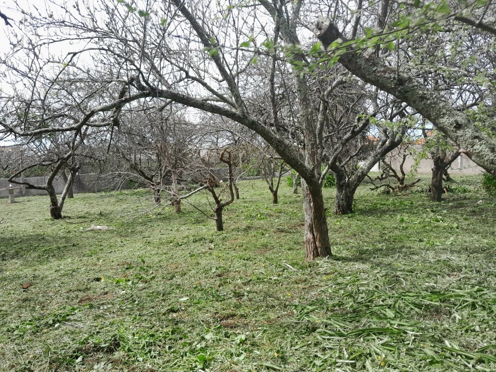 Fazemos limpezas de terrenos e jardins