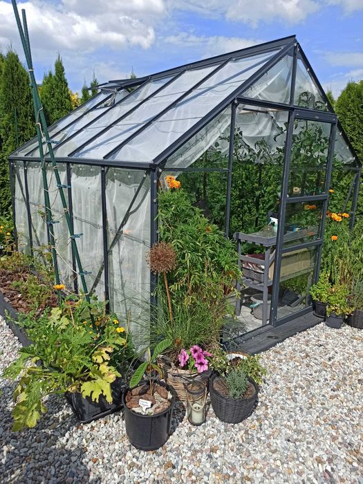 Black Week! Aluminiowa szklarnia ogrodowa LAMS CARVI szkło hartowane