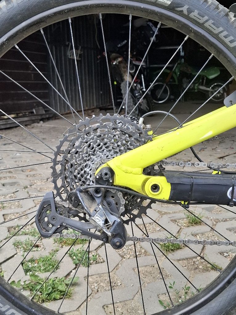 Rower enduro GT force elite 2019