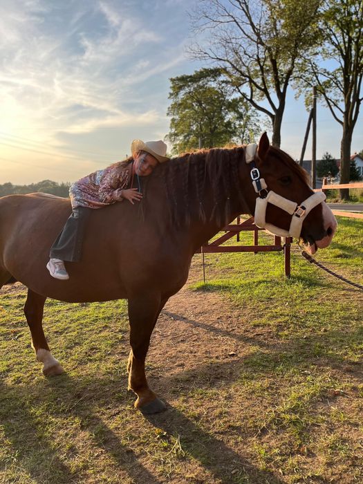 Bezpieczna Klacz Norycka 9lat ok.155cm