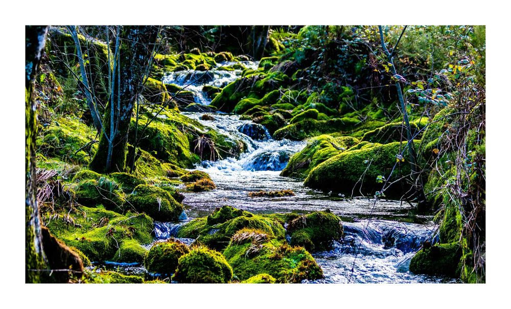 Poster fotográfico 50 x 70, Superfície: papel fotográfico brilhante.