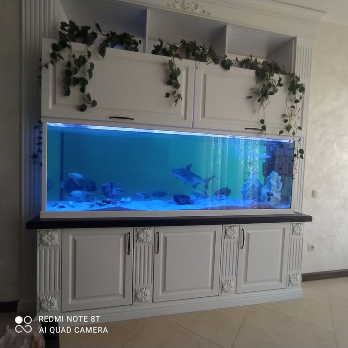 Обслуговування Акваріумів від. 250