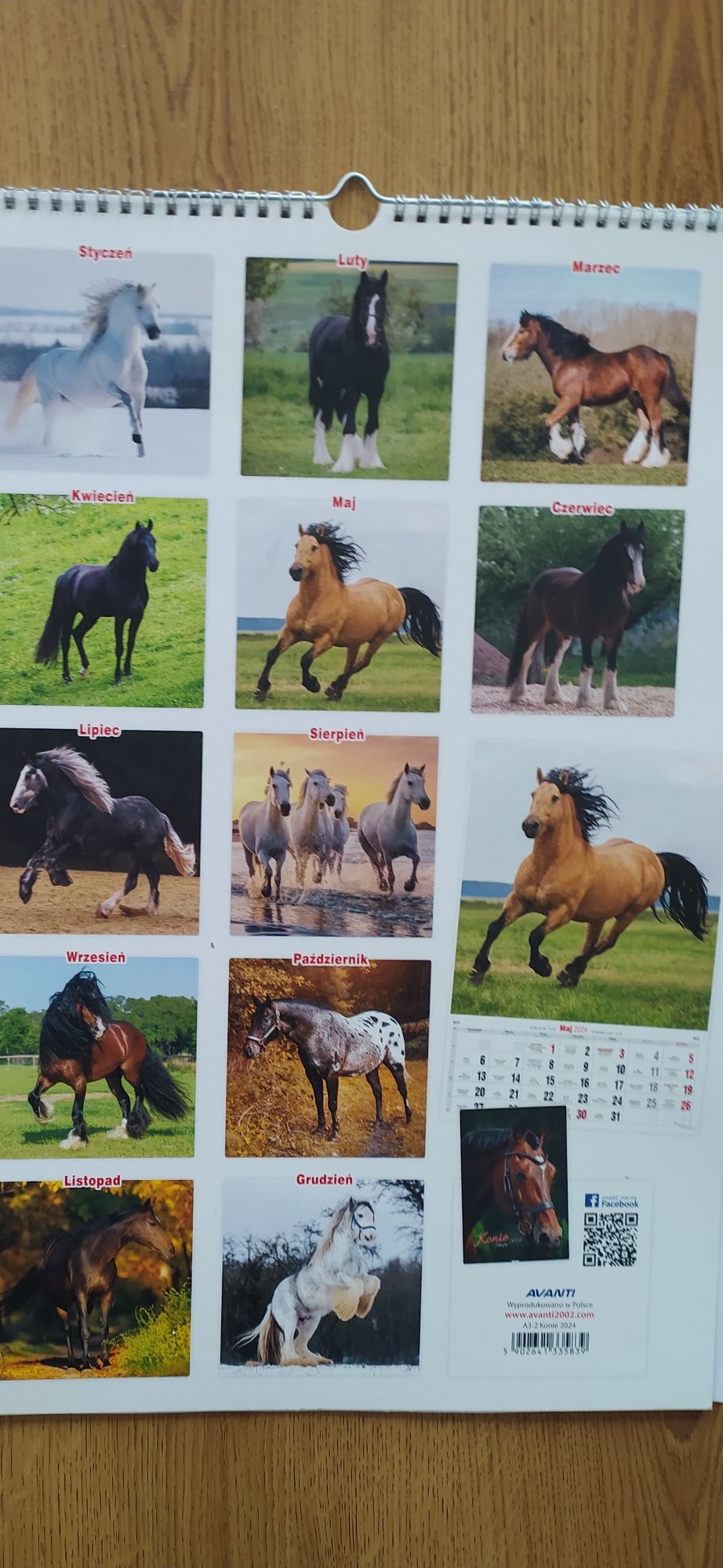 Kalendarz konie 2024
