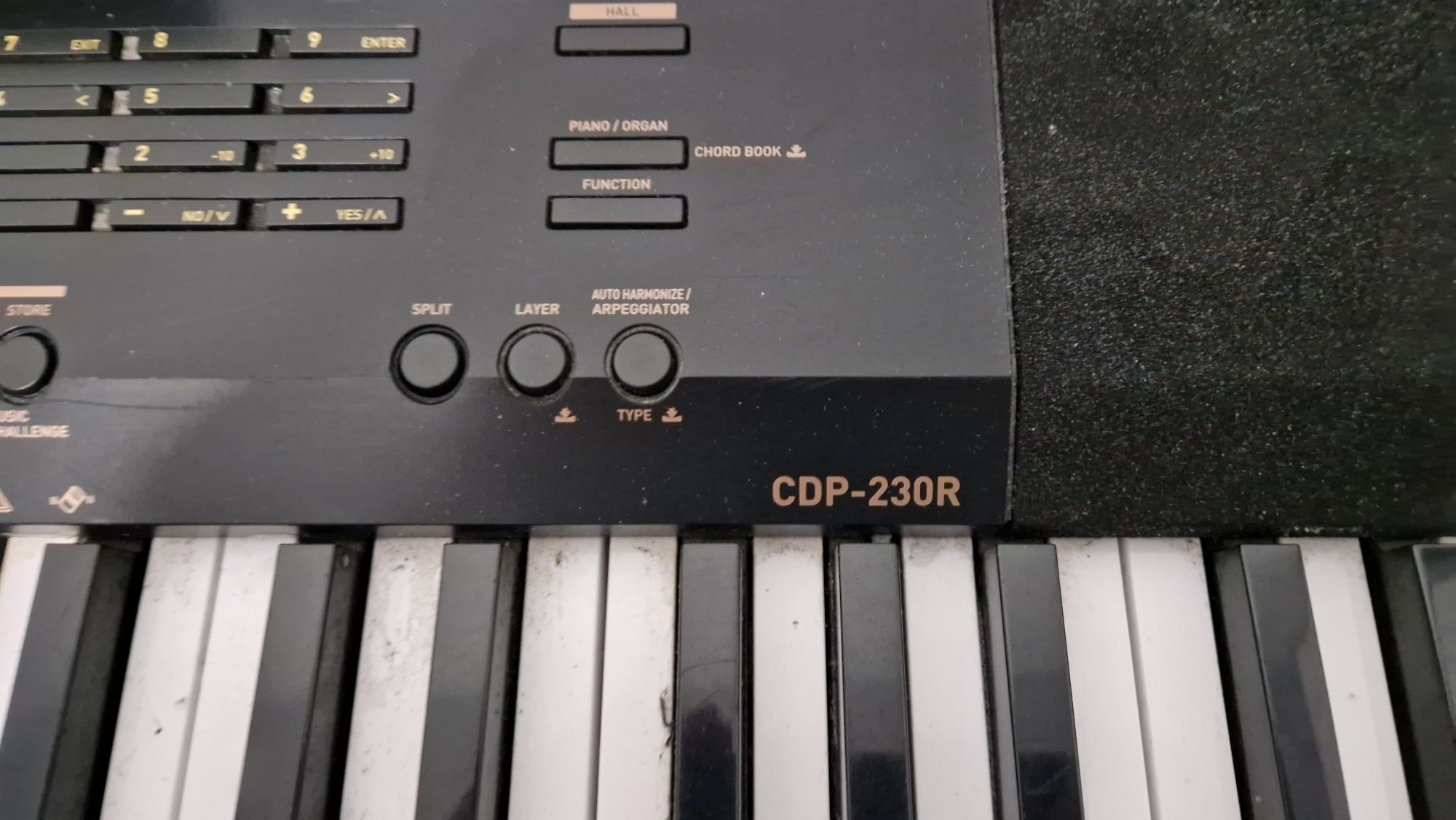 Pianino cyfrowe Casio CDP-230R