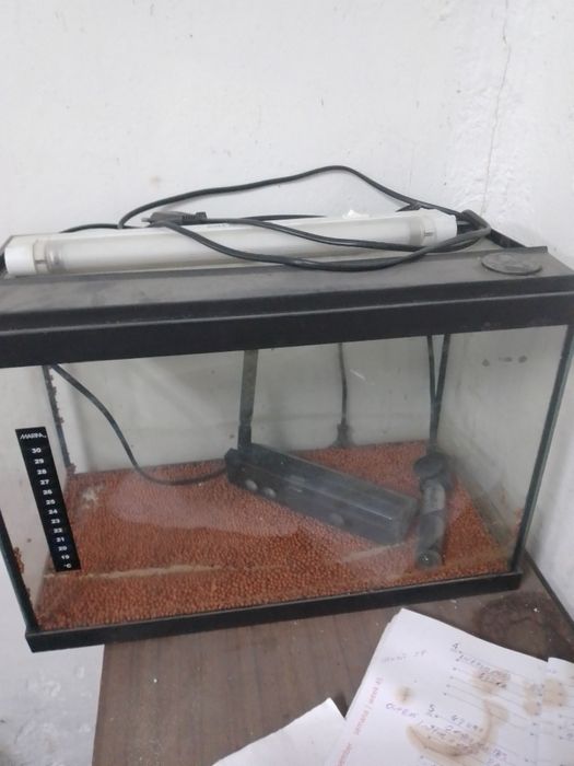 Aquário ou terrário