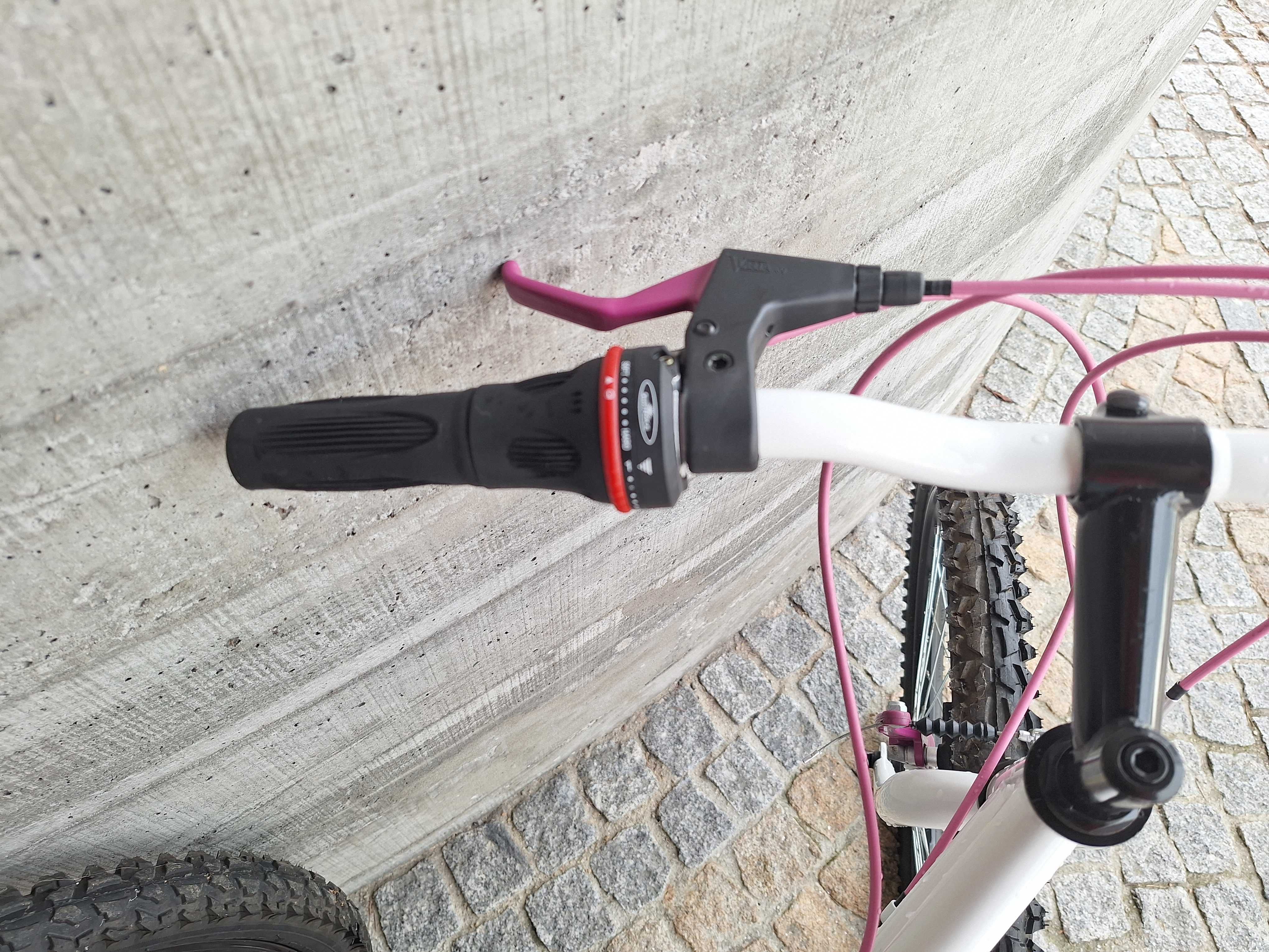 Bicicleta BERG Charm