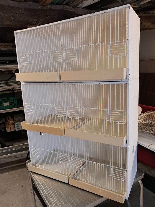 Viveiros aglomerado pintadas