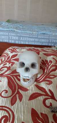 Продам фосфорный череп из коллекции скилет