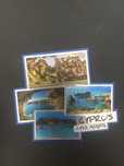 Magnes Cypr Cyprus Ayia Napa