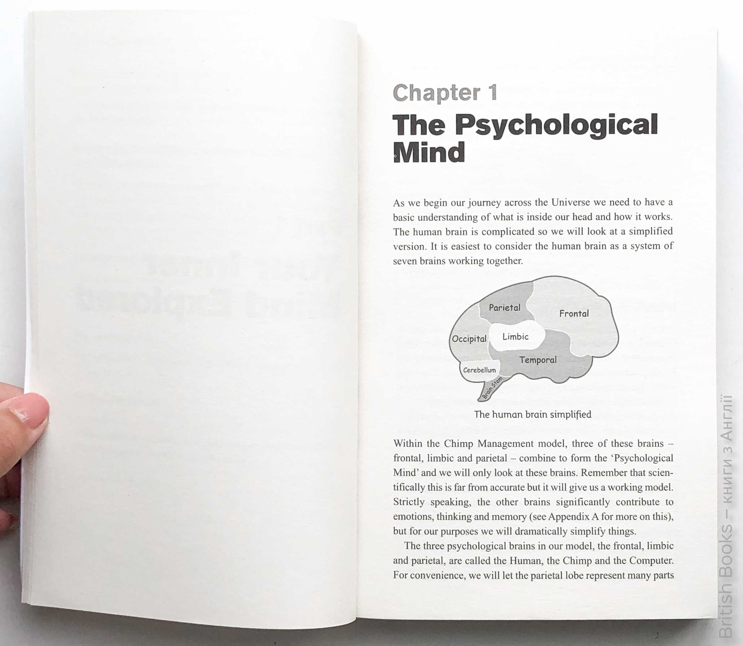 The Chimp Paradox The Mind Management