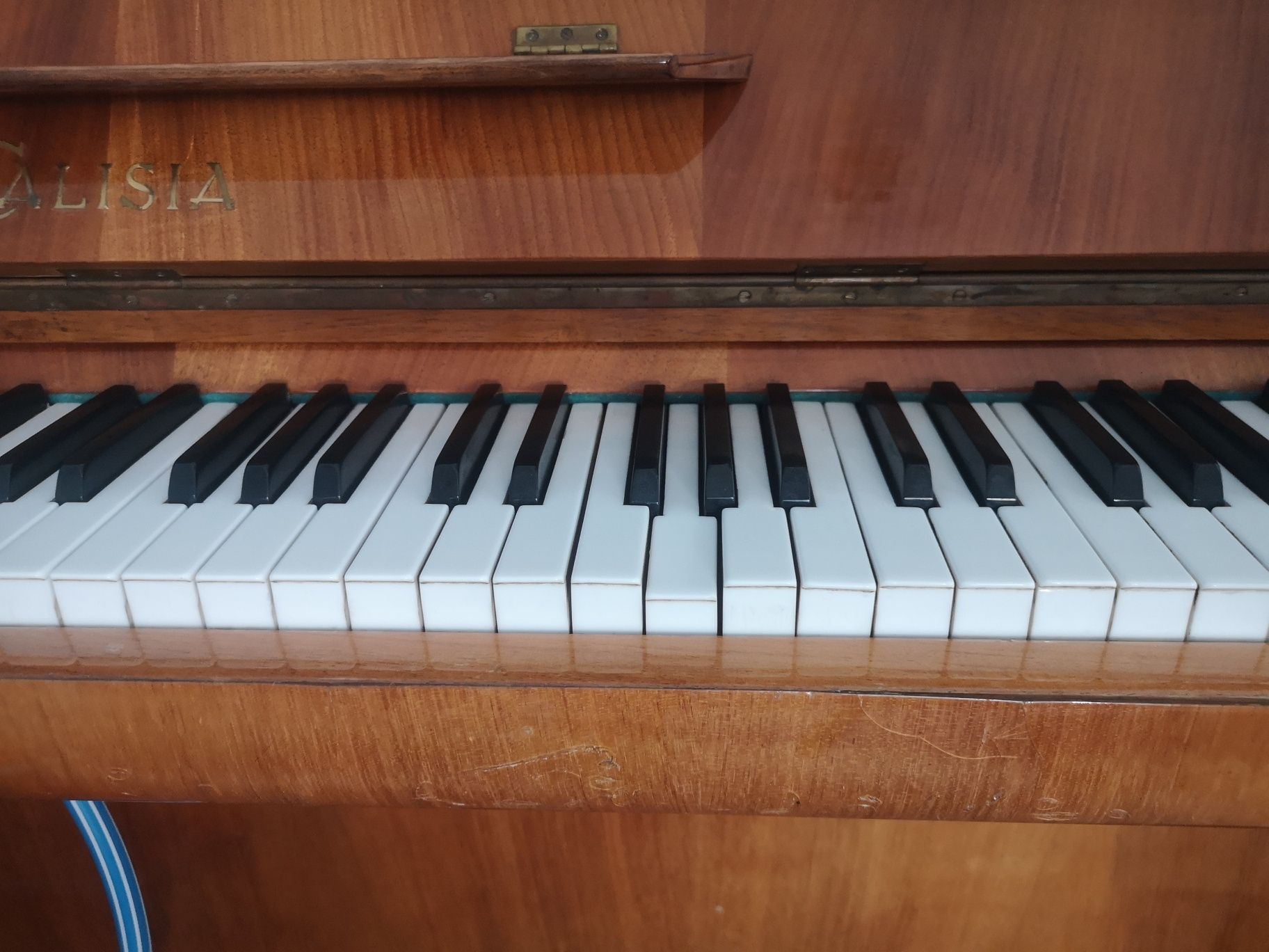 Pianino Calisia * do nauki * PROMOCJA