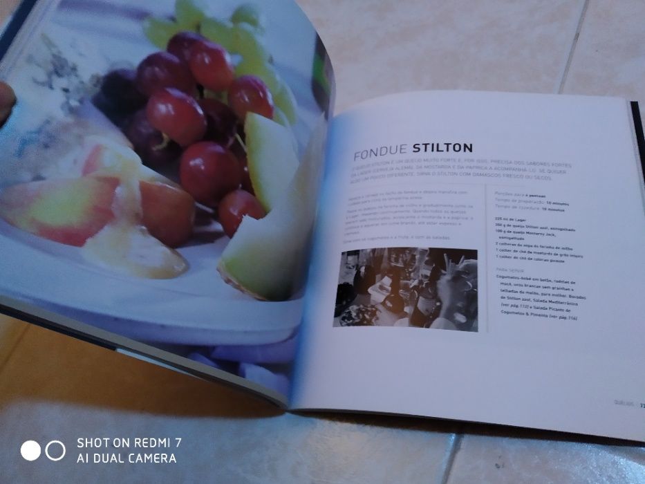 o livro do fondue - 100 receitas