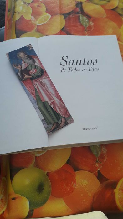 12 volumes :Santos de Todos  os Dias