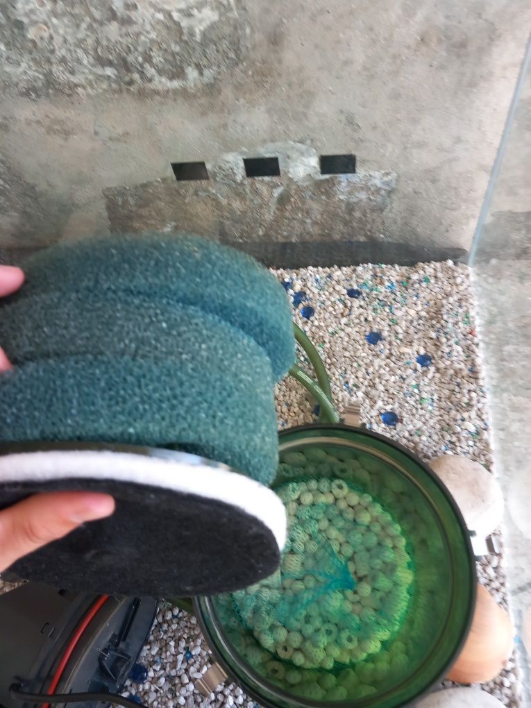 Aquario em vidro