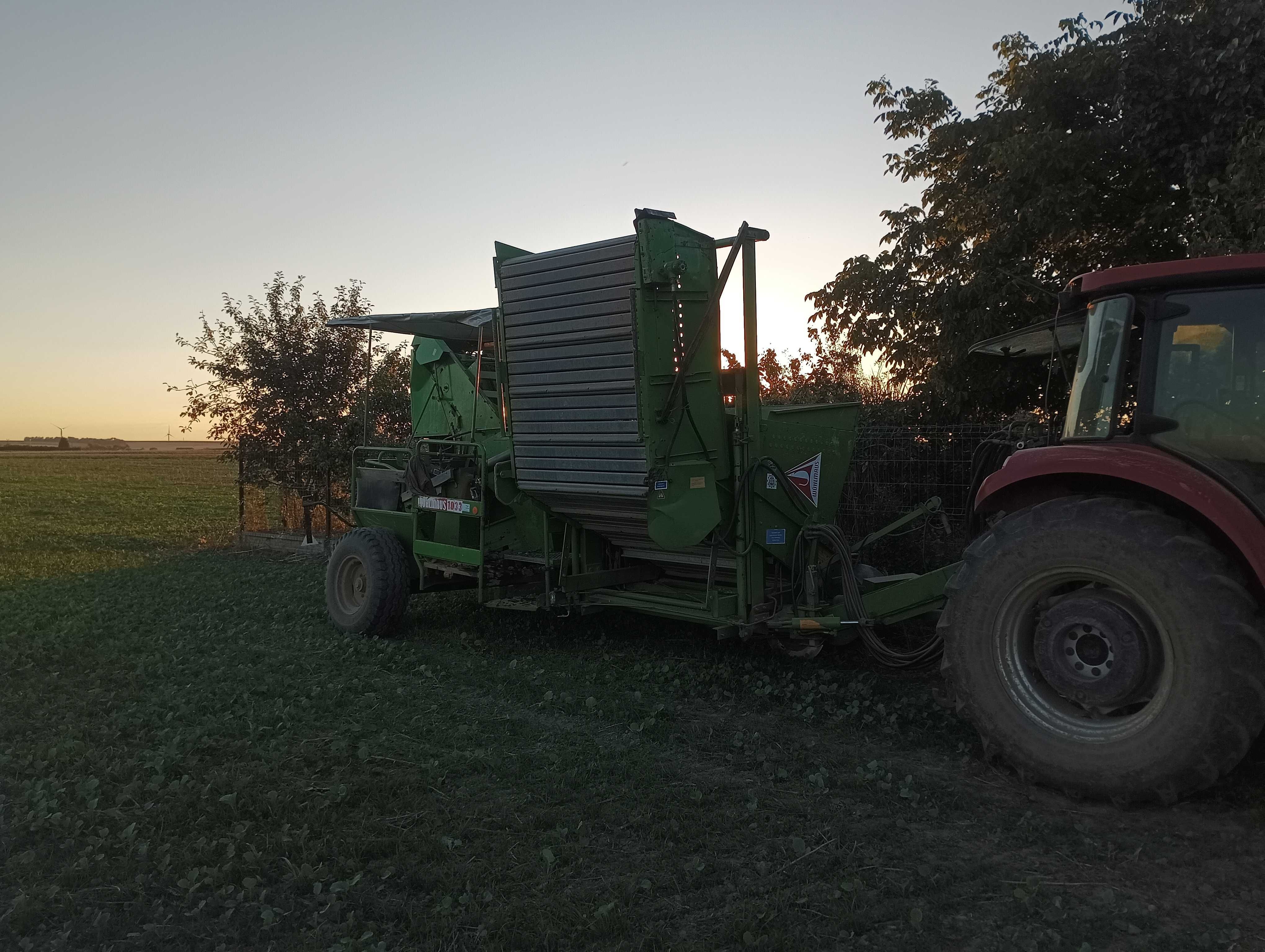 Kombajn do ziemniaków Wuhlmaus 1033