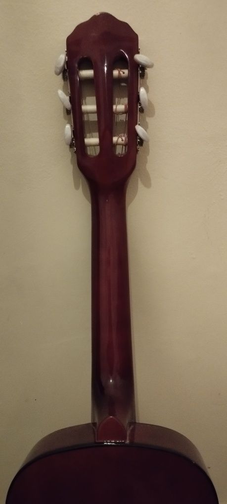Guitarra Rocio C6n