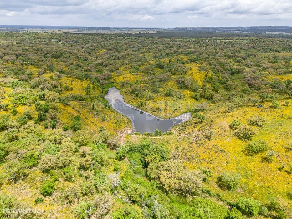 Herdade com 69,625 ha para venda em Alcácer do Sal