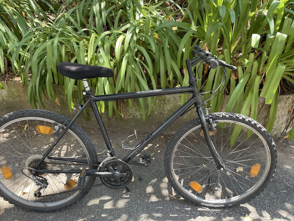 Bicicleta adulto