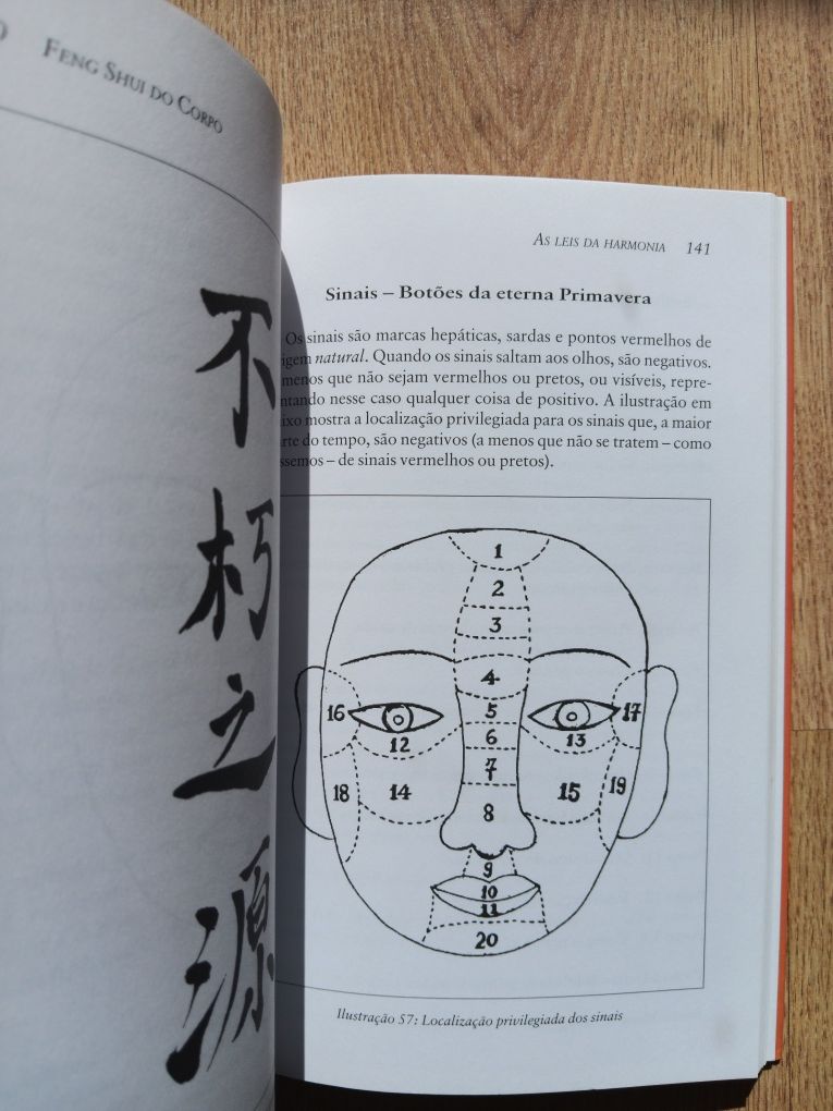 Feng Shui do Corpo, Chao-Hsiu Chen