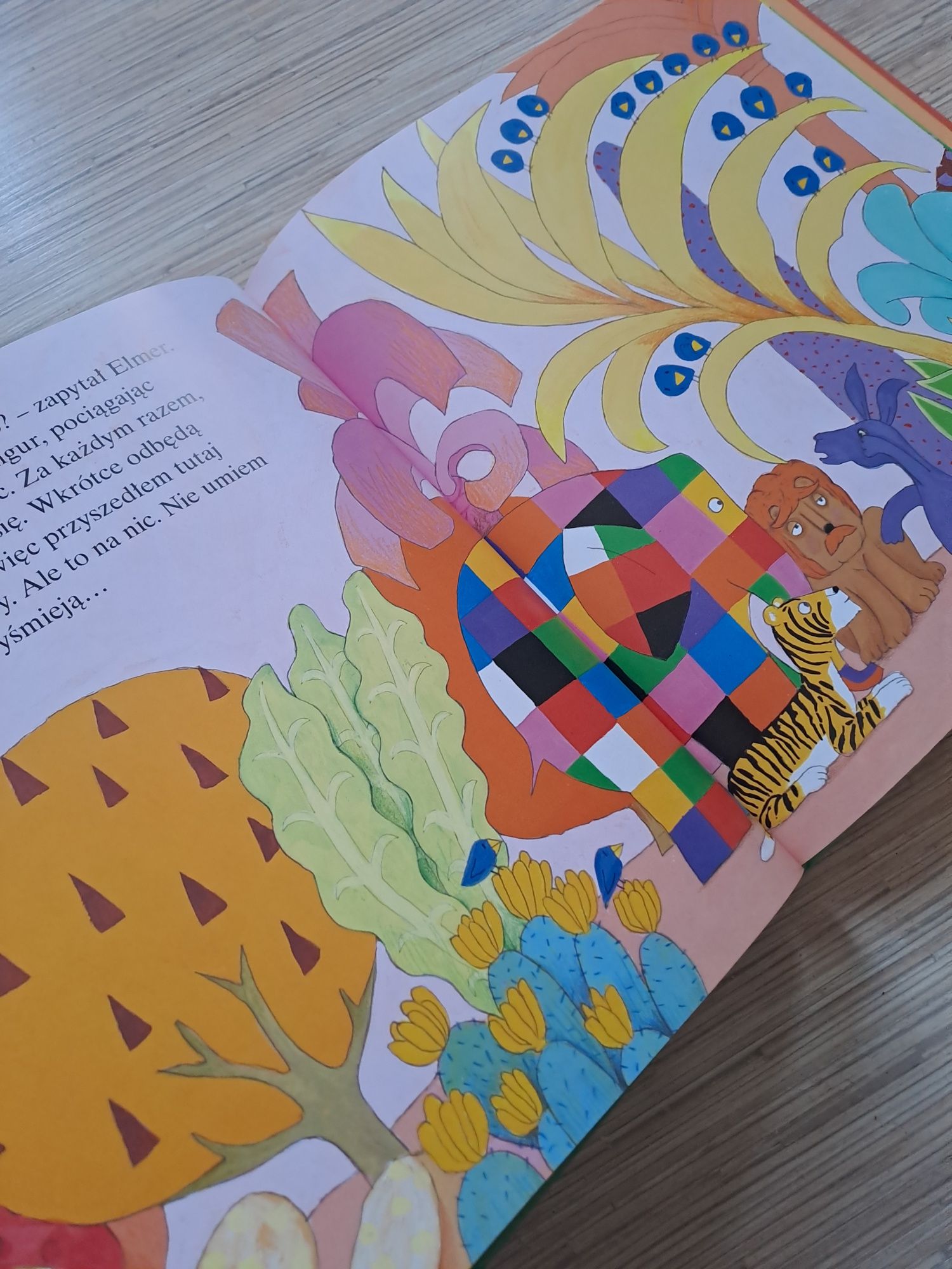 Elmer I nieznajomy. David McKee