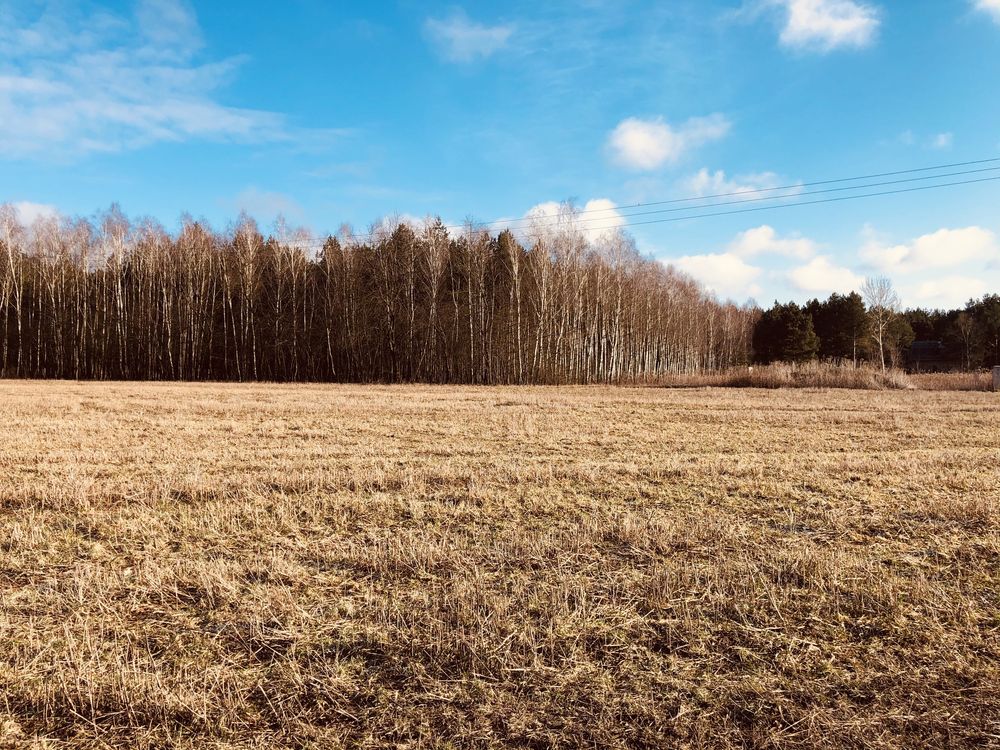 Działka budowlana Silno