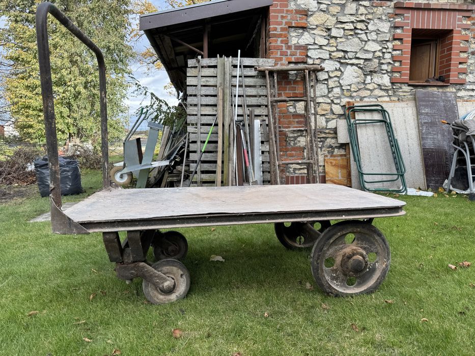 Wózek transportowy platformowy